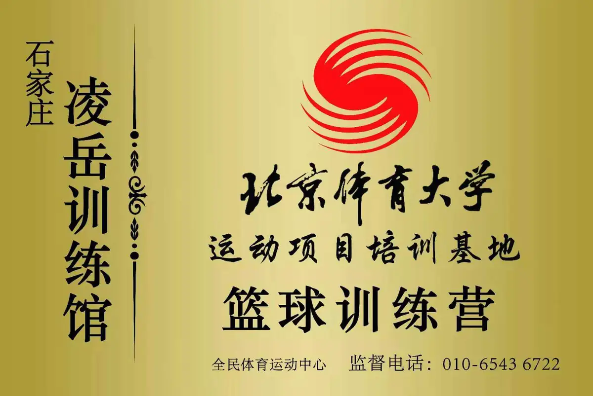 为什么大前锋在比赛中需要特别的体能训练?_2